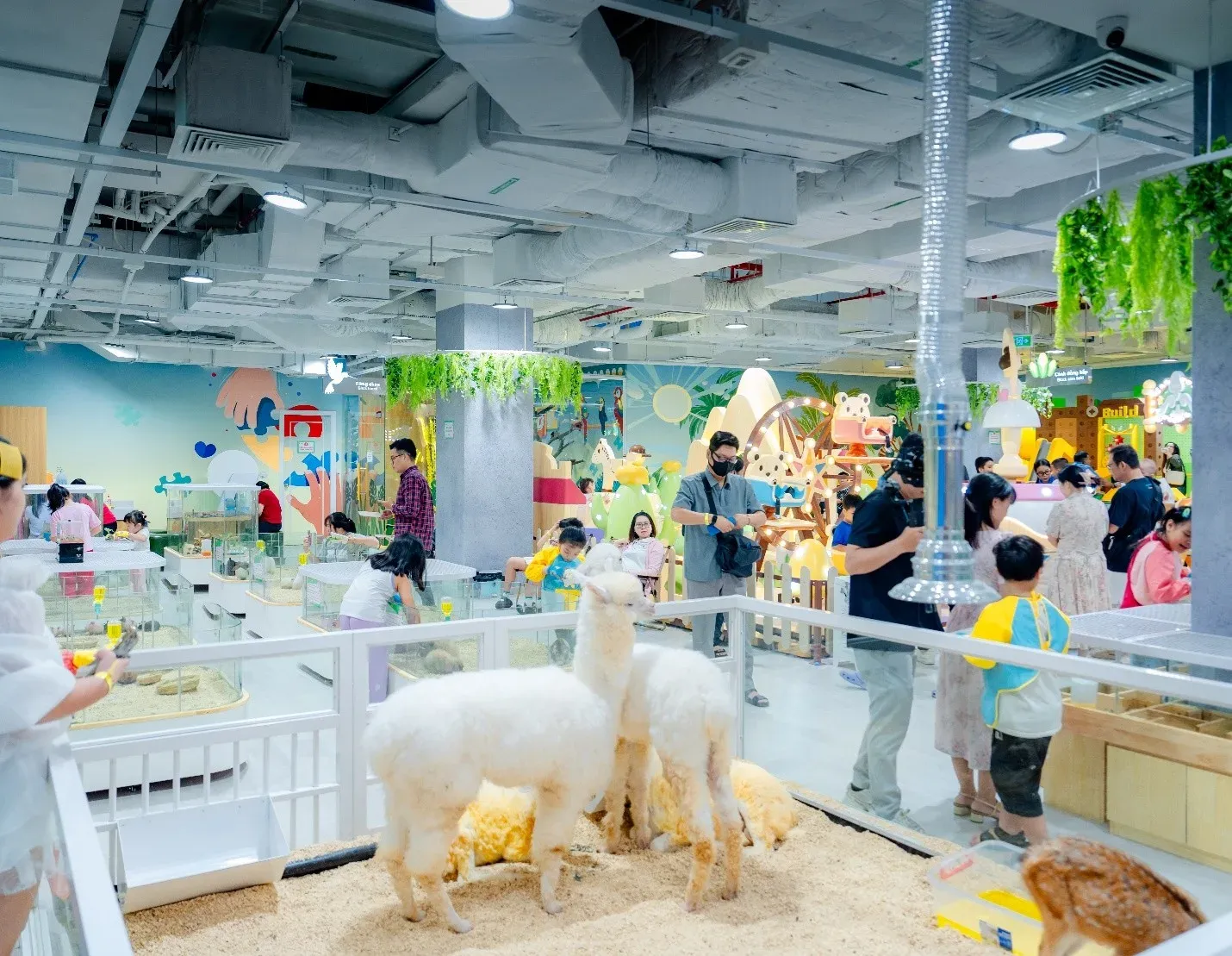 B-Zone – Vườn thú mini cùng nhiều góc chơi sáng tạo.